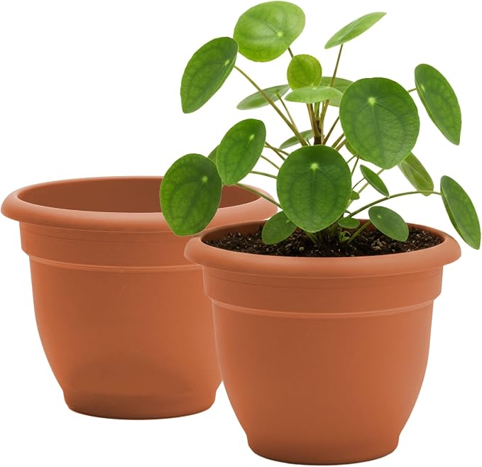 Bloem Ariana 10" Self-Watering Plastic Planter - Rolled Rim Indoor/Outdoor Garden Pot, Terra Cotta, 2-Pack