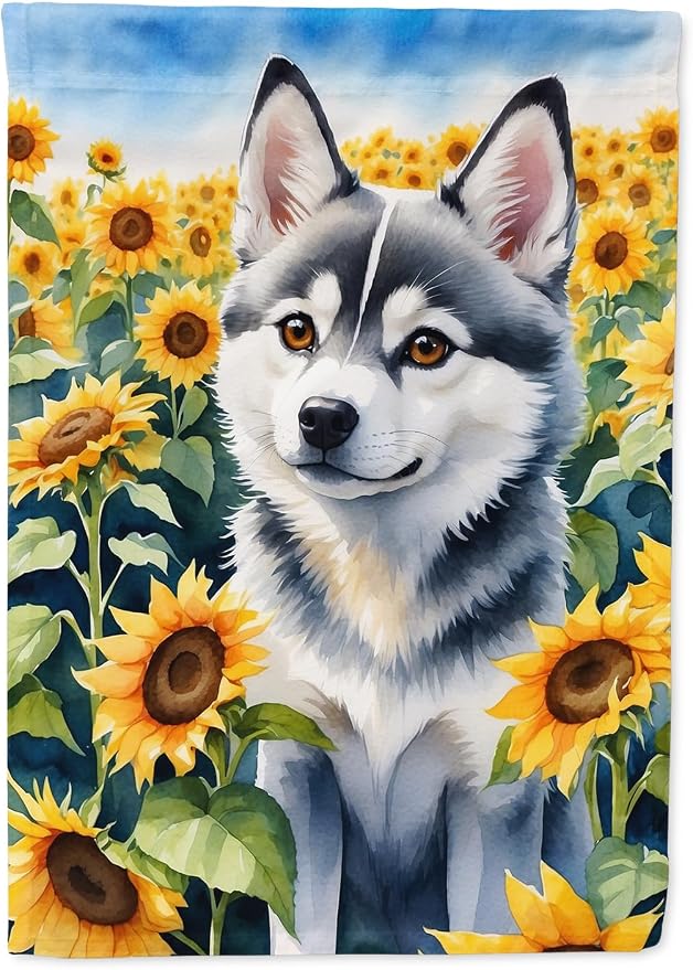 Caroline's Treasures DAC6004CHF Alaskan Klee Kai in Sunflowers House Flag Large Porch Sleeve Pole Decorative Outside Yard Banner Artwork Wall Hanging, Polyester, House Size, Multicolor