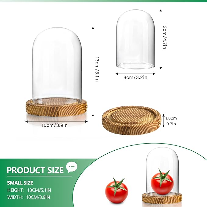 ZEERSHEE Small Cloche Glass Dome with Wooden Base, Glass Display Dome Bell Jar for Plants, Keepsakes, Collectibles and Home Decor, Mini Cloche for Fairy Lights & Preserved Flowers, 5.1" H x 3.9" W