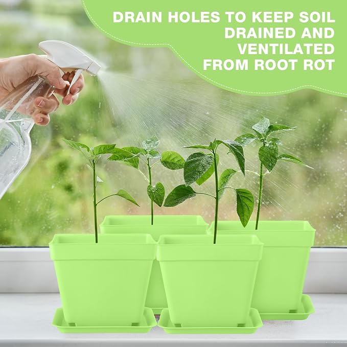 Amyhill 100 Pcs 4 Inch Flower Pots Square Plants Nursery Pot Plastic Plant Seedling Pots Small Nursery Transplanting Planter Container with Saucer for Indoor Succulent Balcony Garden (Green)
