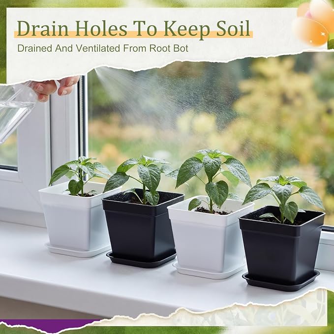 Amyhill 100 Pcs 4 Inch Flower Pots Square Plants Nursery Pot Plastic Plant Seedling Pots Small Nursery Transplanting Planter Container with Saucer for Indoor Succulent Balcony Garden (Black and White)