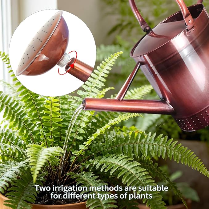 2 Gallon Meltal Garden Watering Can Removable Spout, Galvanized Steel Large Water Can with Embossed Design for Outdoor Indoor Plants (Copper, 2 Gallon)