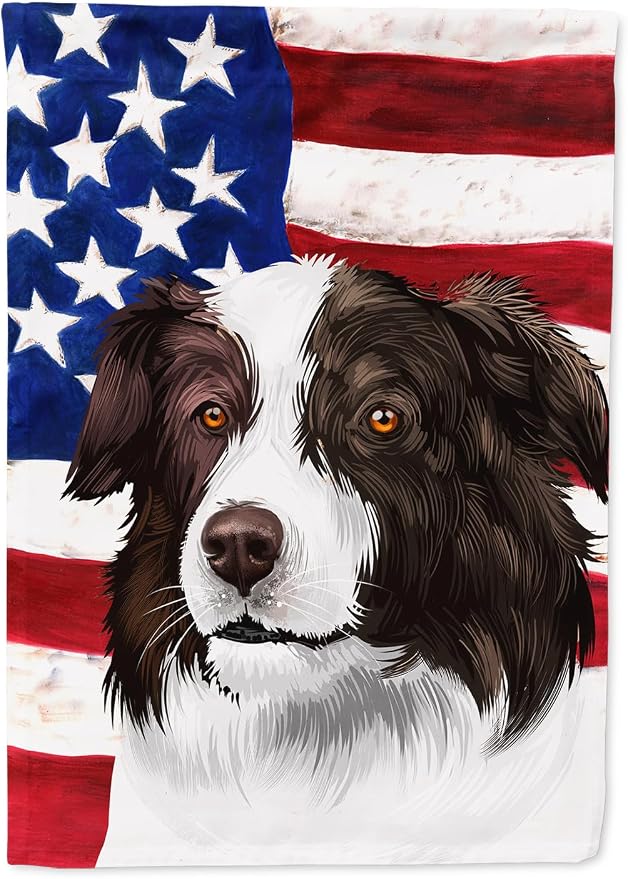 Caroline's Treasures CK6447CHF Border Collie Dog American Flag House Flag Large Porch Sleeve Pole Decorative Outside Yard Banner Artwork Wall Hanging, Polyester, House Size, Multicolor