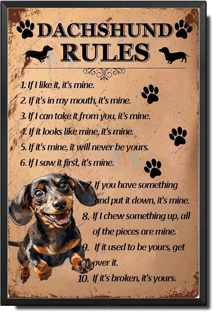 Metal Sign Tin Sign Vintage Wall Art Dachshund Rules Wall Art for Room 12×16 Inches with Metal Frame