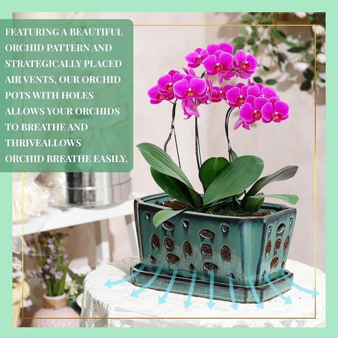 Teenyyou 1 Set Orchid Pot with Holes 9.5 Inch Ceramic Orchid Pot with Saucers for Repotting Amaryllis Flower Planter Include Gardening Shovel Set and Gloves for Home Decor(Green)