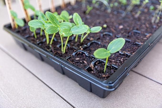 Gardzen Seed Starter Tray, 5 Pack Smiling Face Plant Germination Trays with Total 350-Cell, Seed Starter Kit with Humidity Vented Domes and Bases for Starting Vegetable Herb Seeds 18" x 14", Black