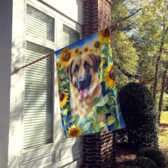 Caroline's Treasures DAC6012CHF Anatolian Shepherd in Sunflowers House Flag Large Porch Sleeve Pole Decorative Outside Yard Banner Artwork Wall Hanging, Polyester, House Size, Multicolor