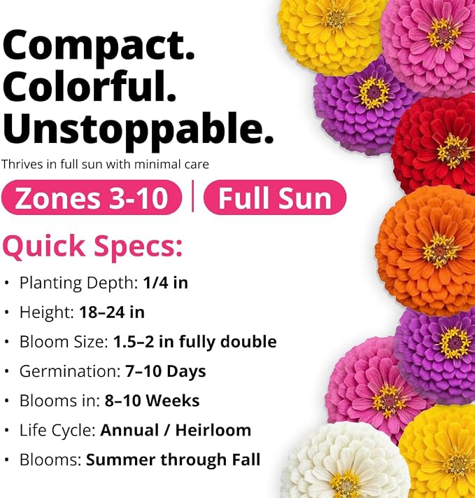 HOME GROWN Zinnia Lilliput Mix Flower Seeds – 600 Seeds (4g) Zinnia elegans – Colorful Zinnia Seed Mix for Planting Spring 2026 for Garden Beds, Containers & Cut Flowers, Easy Grow Zinnia Seeds
