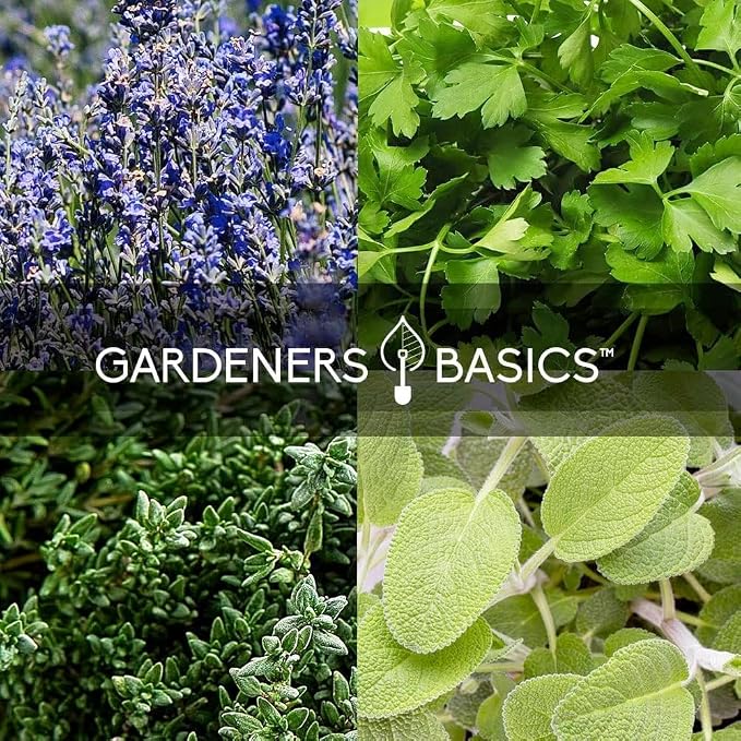Ultimate Survival Seed Kit – 140 Heirloom, Non-GMO Varieties | Over 73,000 Seeds for Planting Vegetables, Herbs & Flowers | Emergency Food Preparedness & Long-Term Storage