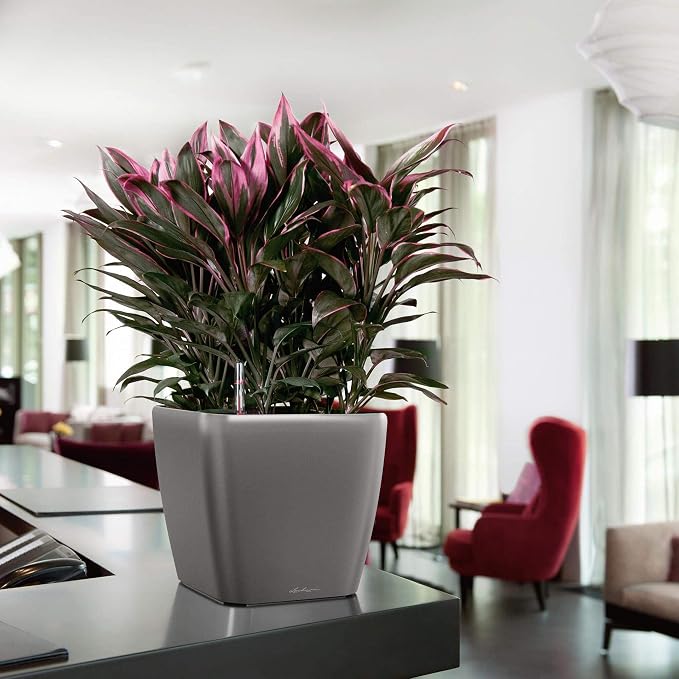 Lechuza Quadro LS 28 Scarlet Red High Gloss, Self-Watering Square Planter, H10.2 L11 W11 in