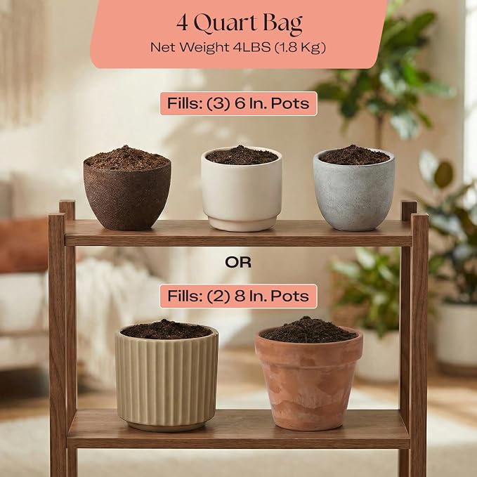 Rosy Soil Cactus & Succulent Potting Mix, 4 Quarts | Organic Succulent Potting Soil, Chunky Fast Draining, Peat-Free, Root Boosting Mix, for AloeVera, Cacti, Indoor Succulents