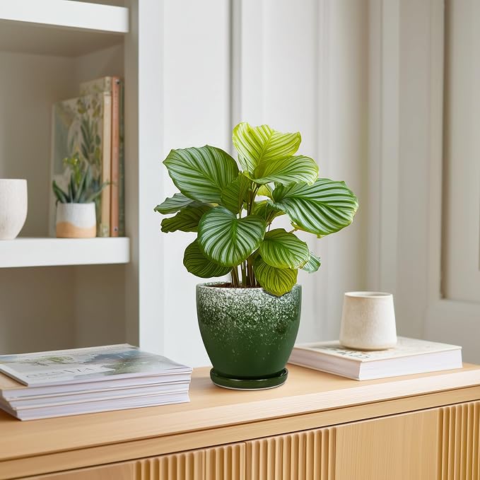 6 Inch Plant Pot - Ceramic Plant Pots with Drainage Hole and Saucer, Ceramic Planter for Indoor Outdoor Plants, Round Modern Planter, Room House Decor, Gifts for Women Men, Green