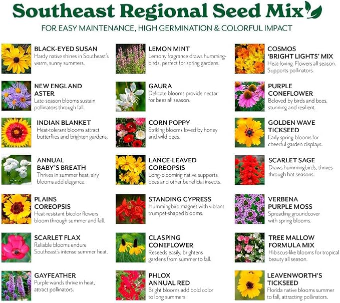 Grow Your Own Vibrant Annual and Perennial Wildflower Garden Seeds Mixture, Varieties for Pollinators and Spring Gardens - Southeast Regional Mix, 25 lbs
