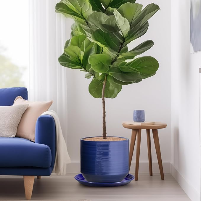 Plant Saucer for Outdoors - Ceramic Plant Saucer, 10 Inch Plant Trays for Indoors, Round Flower Pot Saucer, Large Plant Drainage Tray, Plant Plates to Catch Water Blue
