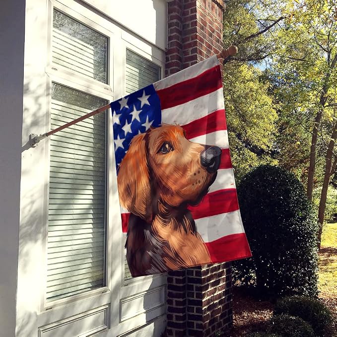 Caroline's Treasures CK6652CHF Polish Hound Dog American Flag House Flag Large Porch Sleeve Pole Decorative Outside Yard Banner Artwork Wall Hanging, Polyester, House Size, Multicolor
