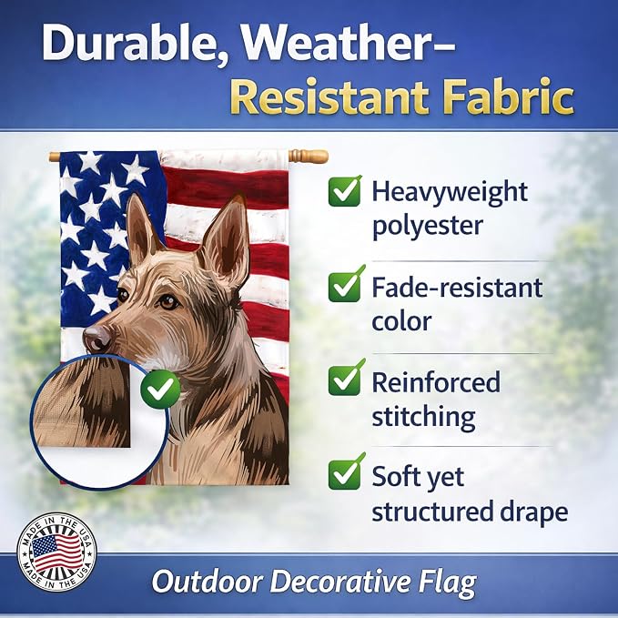 Caroline's Treasures CK6736CHF Telomian American Flag House Flag Large Porch Sleeve Pole Decorative Outside Yard Banner Artwork Wall Hanging, Polyester, House Size, Multicolor