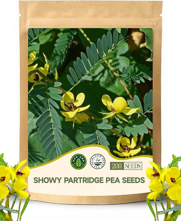 Chamaecrista Fasciculata Showy Partridge Pea Seeds - Decorative Garden Flowers Seeds