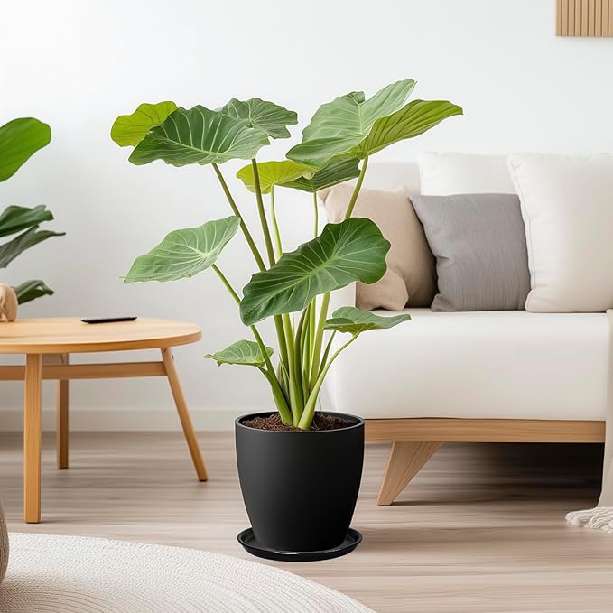 Plant Tray for Pots 10 Inch - Ceramic Plant Saucer for Indoors, Plant Drip Tray, Plant Plates to Catch Water, Flower Pot Saucer, Decorative Plant Drainage Tray, Black