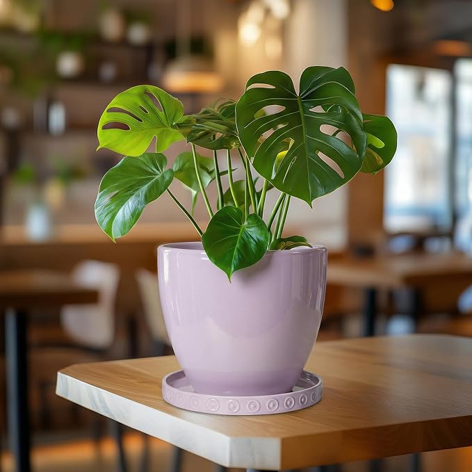 Eightpot Plant Trays for Pots 7.5 Inch, Ceramic Plant Saucers for Indoors Outdoors, Round Flower Pot Saucers, Boho Plants Plates to Catch Water, Decorative Plants Plant Dishes to Catch Water, Purple