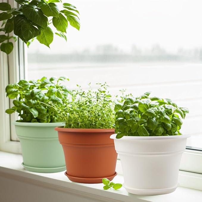 Pottiffe 6 Inch Plastic-Flower Pot-for-Indoor Plants, 6 Pack Outdoor Plant Pots with Drainage Holes & Saucers, Resin Garden Pots Planters