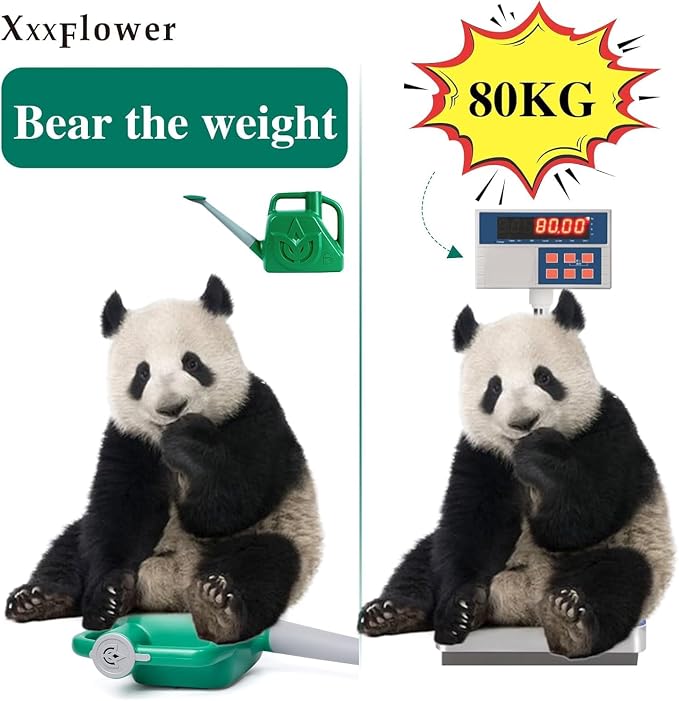XXXFLOWER 1.5 Gallon Green Watering Can Outdoor Garden Flower Plant, Lightweight 6 L Water Cans with Detachable Nozzle Watering Pot for Office House Garden