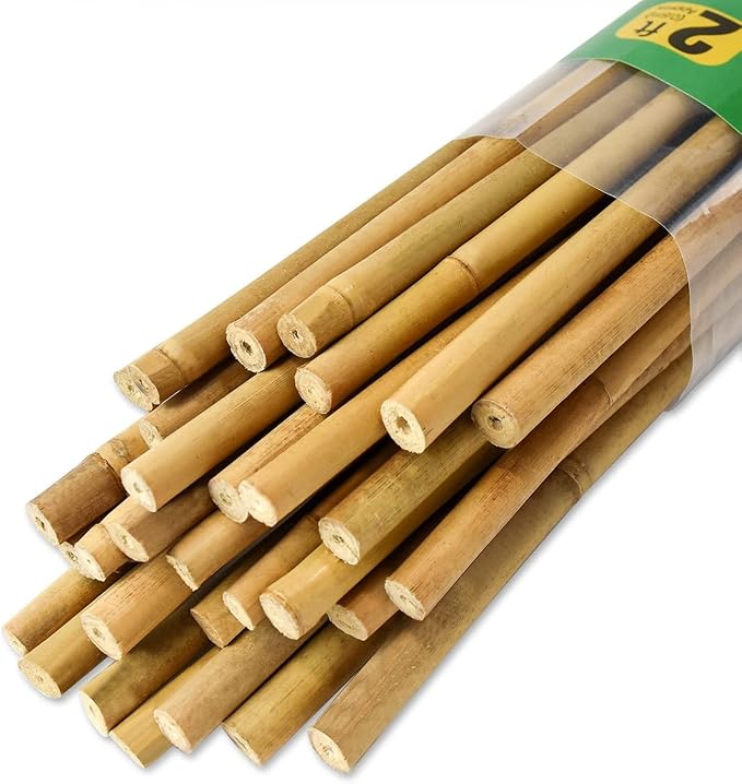 Jollybower 30pcs 3/10" D Thicker Heavy Duty Bamboo Stakes, 2FT Plant Stakes, Natural Garden Stakes for Tomato, Bean, Flowers,Trees Potted and Climbing Plant Support