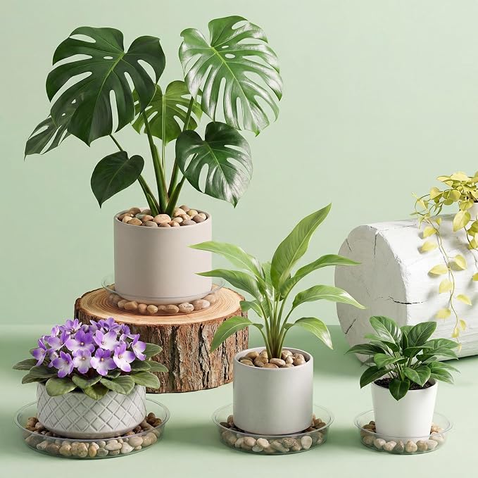 Gejoy 40 Pack Plant Saucers 6inch /8inch /10inch, Thick Durable Clear Plastic Plant Trays for Pots, Heavy Duty Drip Trays Water Catcher Flower Pot Saucers for Indoor Outdoor, Prevent Water Overflow