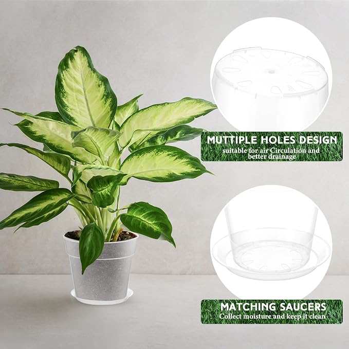 Baderke 3 Pack Clear Nursery Pot Plastic Nursery Pot Large Plant with Drainage Holes for Root Health Indoor Outdoor (8 Inches)