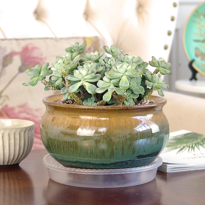 8 Inch Succulent Pot with Drainage and Saucer Glazed Terracotta Round Ceramic Succulent Planter Cactus Bonsai Plant Pot (Brown and Green)