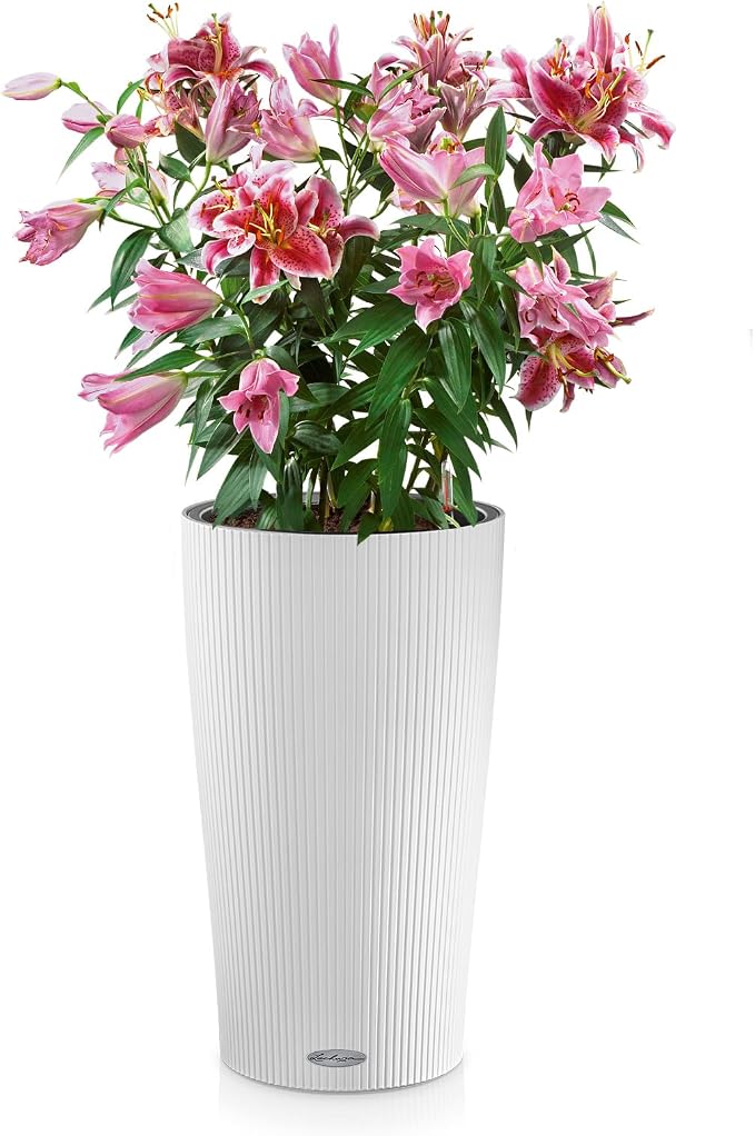 Lechuza CILINDRO Color 32 White, Self-Watering Tall Planter, D12.6 H22 in