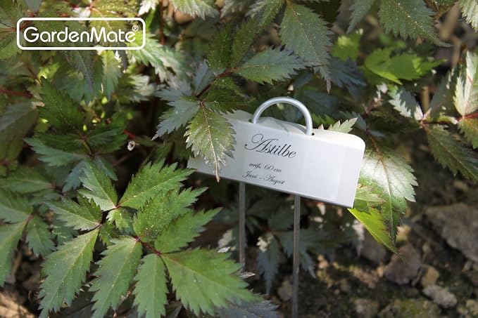 GardenMate 100-Pack Weatherproof Mini Metal Plant Labels, Height 5 3/4'', Label Area 7/8'' x 2 1/2''