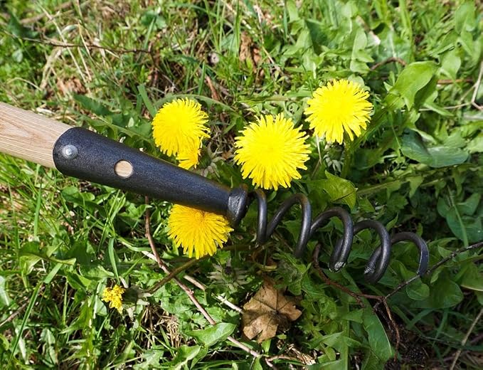 DeWit Long Handle Corkscrew Weeder – 40" T-Grip Boron Steel Garden Tool – Ergonomic Weed Remover & Compost Aerator – Deep Root Dandelion Puller – Durable, Rust-Resistant