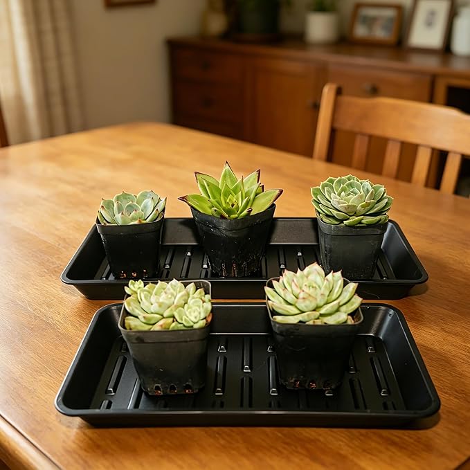 4 Pack Rectangular Plant Saucer 16 Inch, Heavy Duty Plastic Drip Trays for Pots, Windowsill Planter, Indoor Outdoor, 7.0 x 16.1 Inches, Black