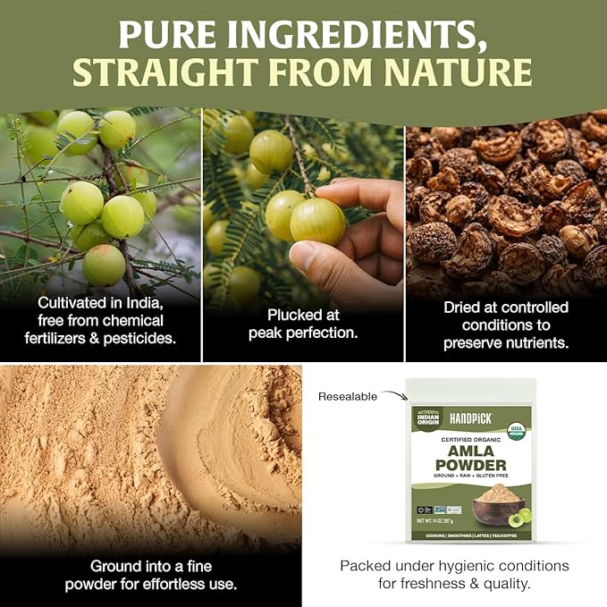 HANDPICK Organic Amla Powder (14oz) Amalaki, USDA Organic, Non-GMO | 100% Raw and Natural - Lab Tested for Purity | Indian Gooseberry Powder | Resealable Zip Lock Pouch (Packaging may vary)