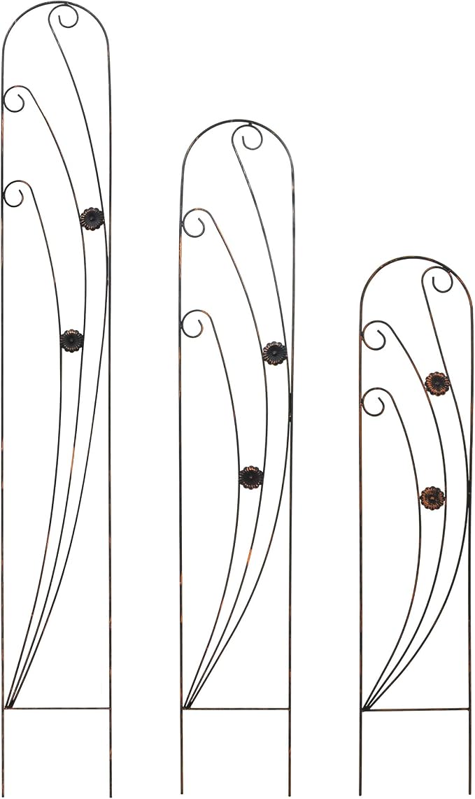 Arcadia Garden Products TR07 Phoenix Trellis Size: 4', Black