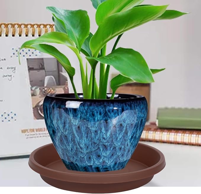 NIMYAU 5 Pack Plant Saucer 6 Inch,8 10 12 14 16 18 20 Inch, Heavy Sturdy Plant Trays for Pots, Plant Water Catcher Tray for Plants, Plastic Plant Saucers for Indoors no Holes