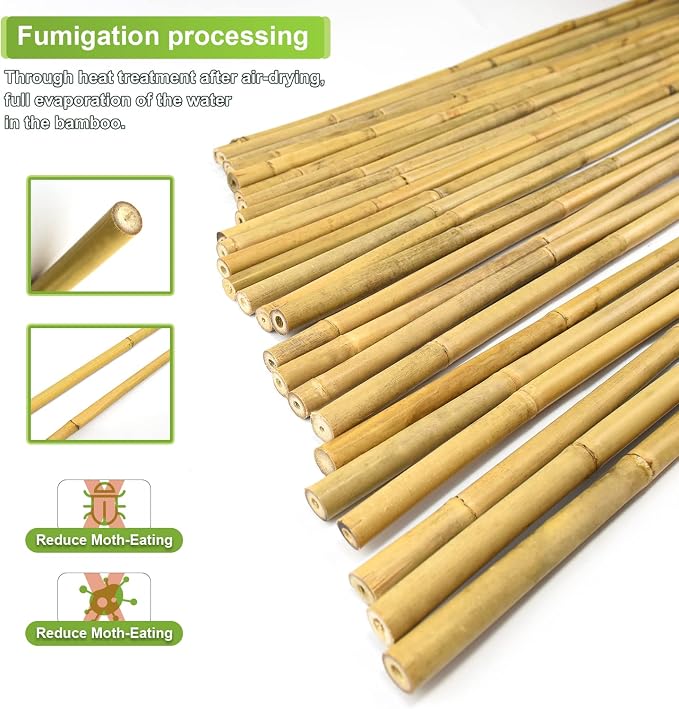 Jollybower 20pcs 5/8" D Thicker Heavy Duty Bamboo Stakes, 6FT Plant Stakes, Natural Garden Stakes for Tomato, Bean, Flowers,Trees Potted and Climbing Plant Support