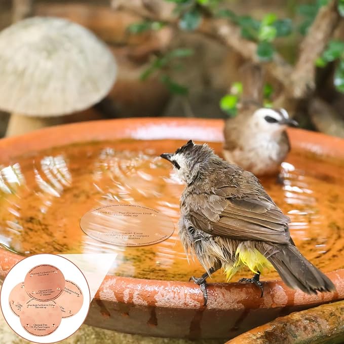 MorningRo 8 Pcs 4'' Bird Bath Copper Disk, 0.6mm Thick Reinforced 99.99% Pure Copper Disc birdbath Purification Disc, with 4 Point Support for Outdoor Birdbaths Bowls Cleaner (Classic)