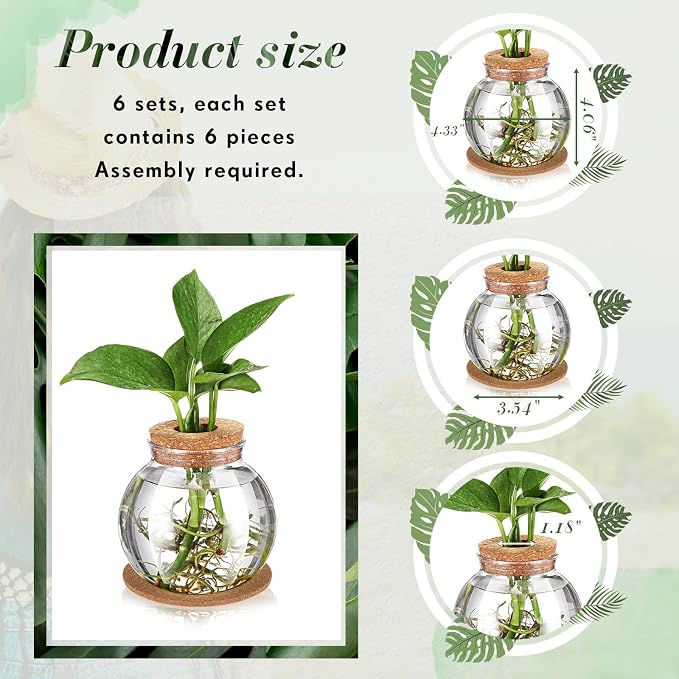 Baderke 6 Packs Propagation Vases for Plants Plastic Plant Propagation Station with Hole Lid and Cork Coasters Plant Growing in Water Hydroponic Home Office Table Decoration(Fish Bowl Style)