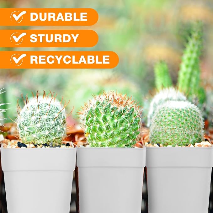 Amyhill 100 Pcs 4 Inch Flower Pots Square Plants Nursery Pot Plastic Plant Seedling Pots Small Nursery Transplanting Planter Container with Saucer for Indoor Succulent Balcony Garden (White)