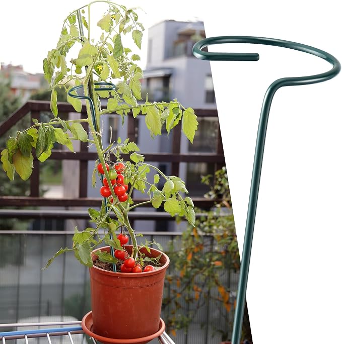 Wenqik 12 Pack 40 Inch Single Stem Plant Stakes Plant Support Stakes Green Plant Holder Metal Garden Stakes Flower Support Ring for Spring Outdoor and Indoor Tomato Peony Rose Lily Herbs Vegetable