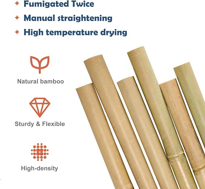 COLOtime 8FT Bamboo Stakes Plant Stakes 1 Inch Thick Diameter Garden Stakes Heavy Duty for Plant Support Outdoor Climbing Plants Support Gardening Stakes 10 Pack