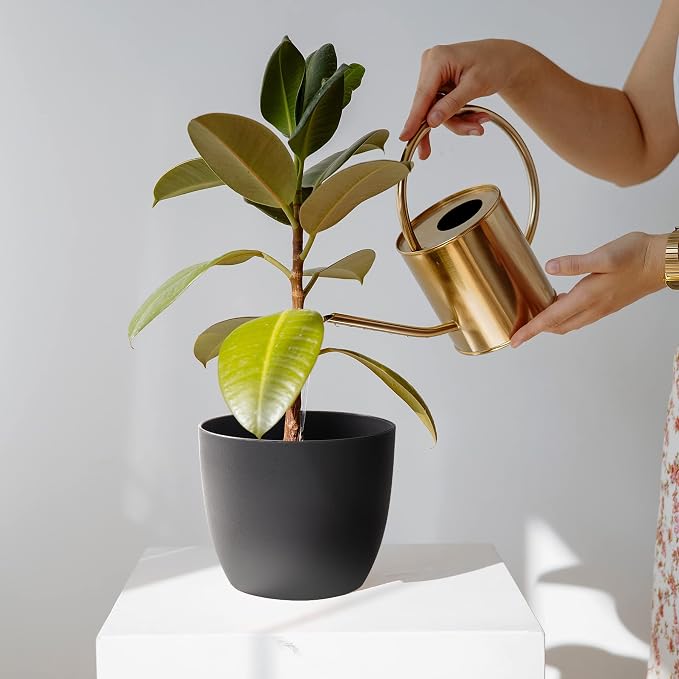 T4U 6 Inch Self Watering Planters Plastic Plant Pot, Modern Decorative Flower Pot/Window Box for All House Plants, Flowers, Herbs, African Violets, Succulents - Black, Set of 6