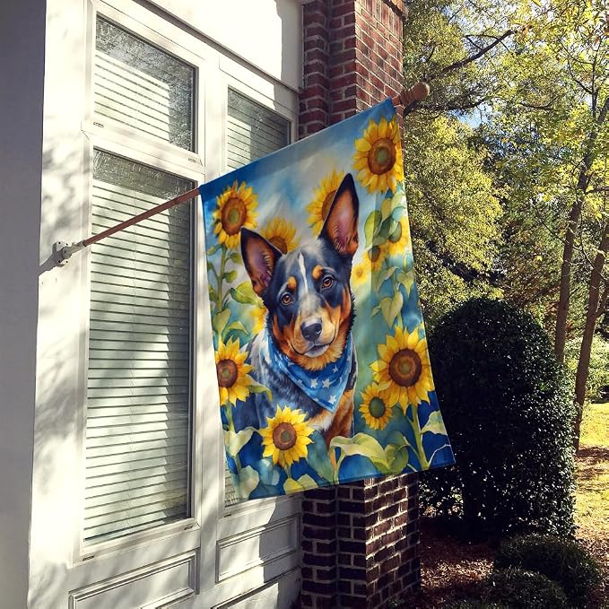 Caroline's Treasures DAC6013CHF Australian Cattle Dog in Sunflowers House Flag Large Porch Sleeve Pole Decorative Outside Yard Banner Artwork Wall Hanging, Polyester, House Size, Multicolor