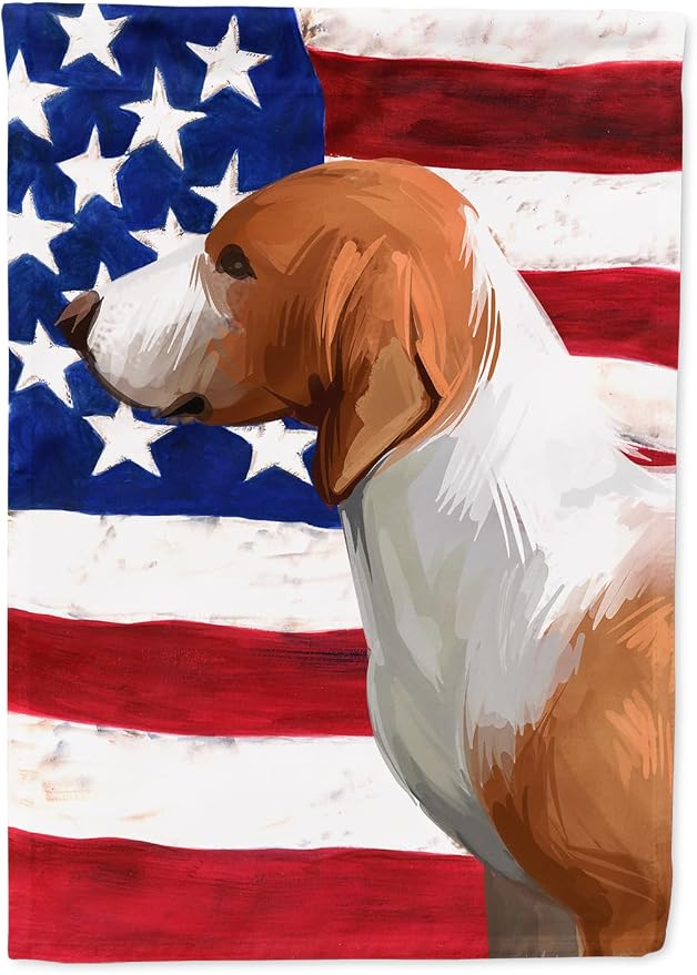 Caroline's Treasures CK6506CHF Drever Dog American Flag House Flag Large Porch Sleeve Pole Decorative Outside Yard Banner Artwork Wall Hanging, Polyester, House Size, Multicolor