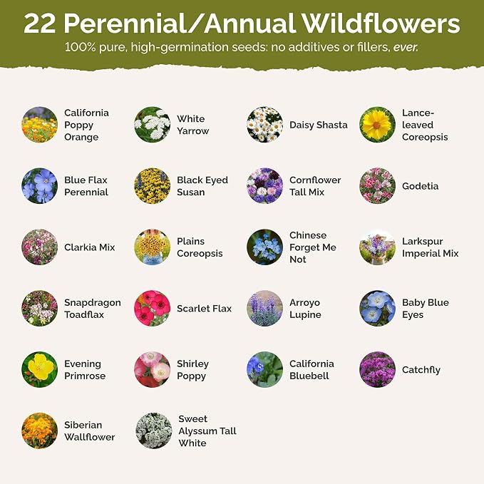 Eden Brothers California Wildflower Mixed Seeds for Planting, 5 lb, 2,400,000+ Seeds with Black Eyed Susan, Shasta Daisy | Attracts Pollinators, Plant in Spring or Fall, Zones 3, 4, 5, 6, 7, 8, 9, 10