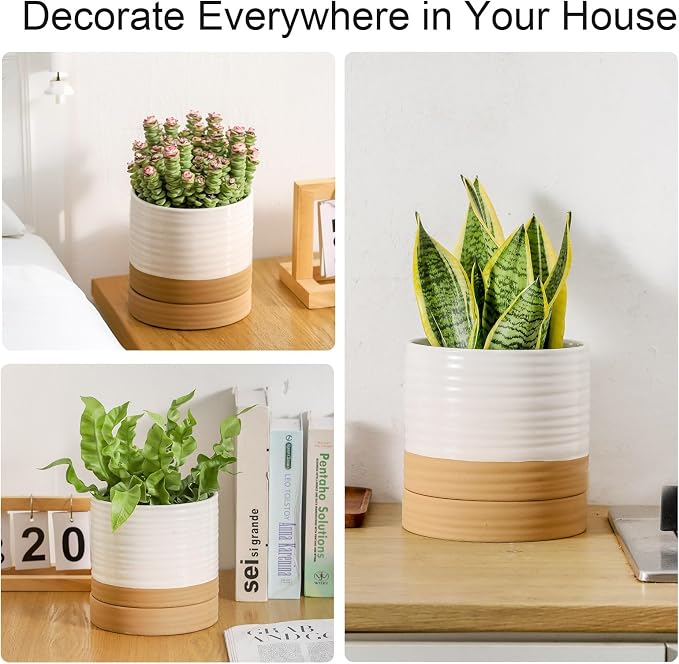 HASENSE Ceramic Plant Pots with Saucers Set of 3, 8+6+4.6 Inch Planters for Indoor Plants with Drainage Holes,Two-Tone Design White Flower Pots for Snake Plants & Cactus,Home & Office Decor