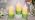 Pillar Candles, Freesia Scented Candles 70+Hour Long Lasting Burn Time, 3 X 6 Inches Candles for Wedding Home Décor, Set of 3 - Image 7