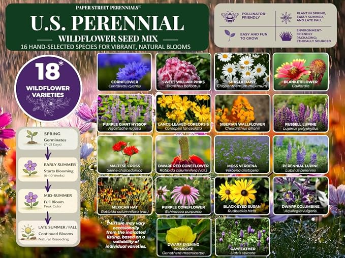 United States Nationwide Bulk All Perennial Non-GMO Wildflower Seed Mix - All U.S. Zones - Plant in Spring and Fall 1/2 Pound 1,000 Square feet - Includes Drought Tolerant Species