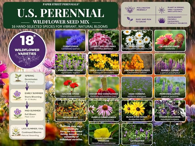 United States Nationwide Bulk All Perennial Non-GMO Wildflower Seed Mix - All U.S. Zones - Plant in Spring and Fall 1/4 Pound 500 Square feet - Includes Drought Tolerant Species